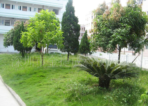 Factory greening